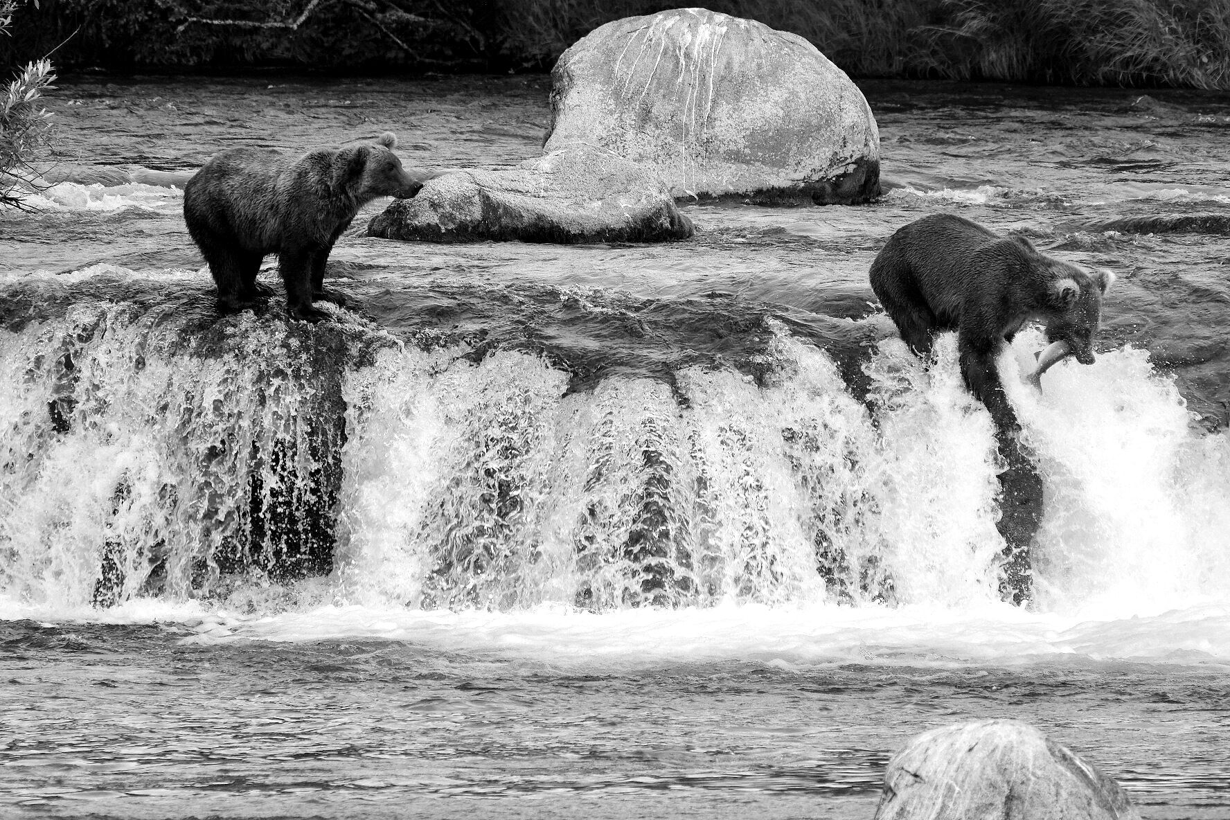 Why Small Systematic Funds Can Be More Nimble Than Multi-Strategy Giants